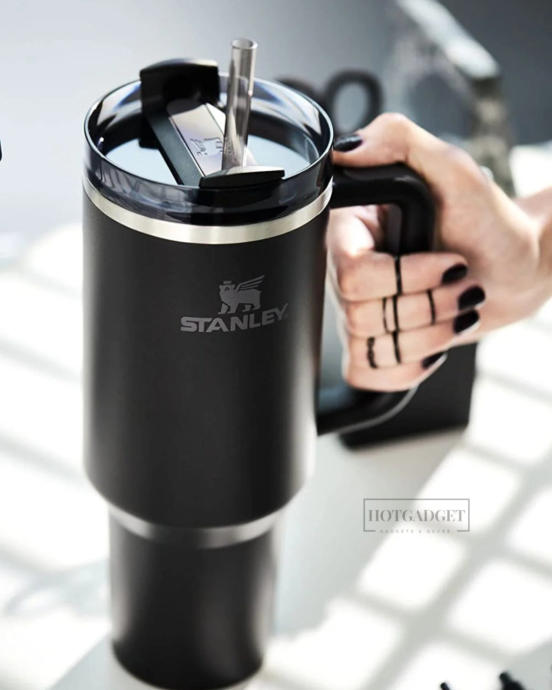 Stanley Tumbler with Handle and Straw, Stainless Steel Insulated Travel Cup (Black)